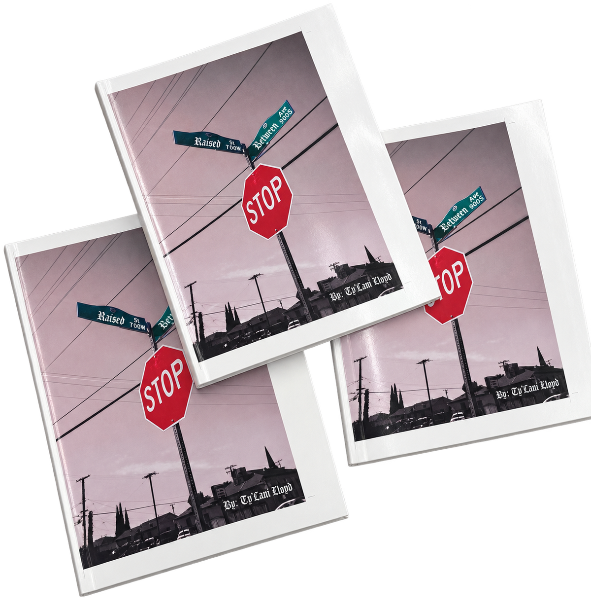 Raised Between by Ty'Lani Lloyd - book cover featuring street signs and stop sign